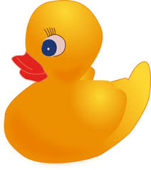 picture of a rubber duck